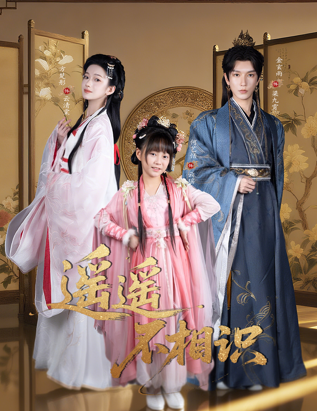 遥遥不相识海报